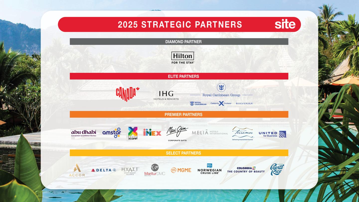 strategic partner 4