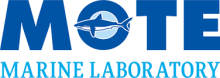 MOTE Logo