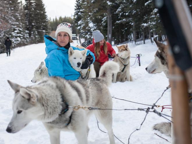 dog sledding